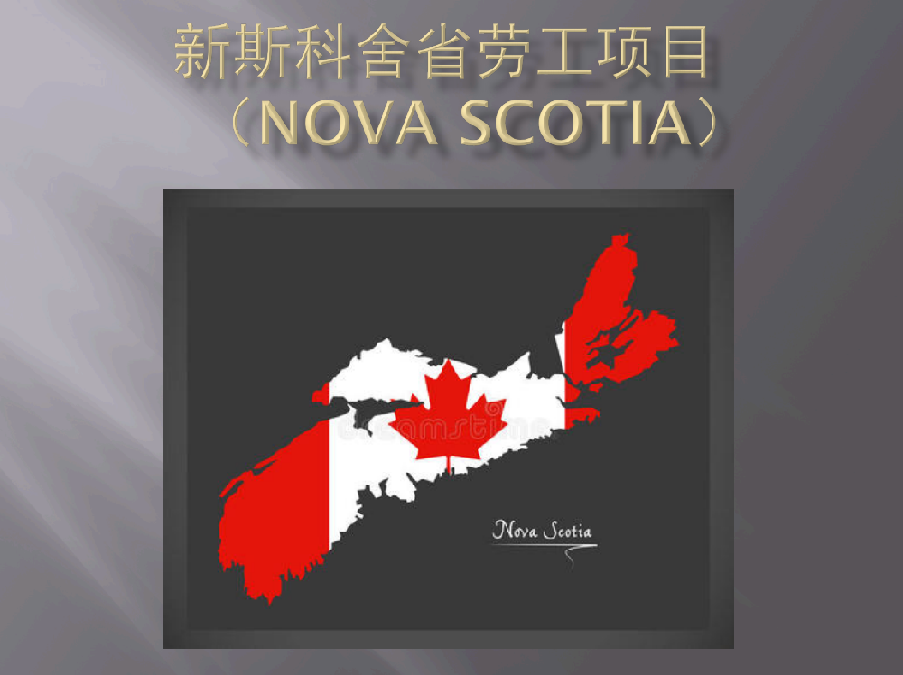 新斯科(kē)舍省勞工(gōng)項目
